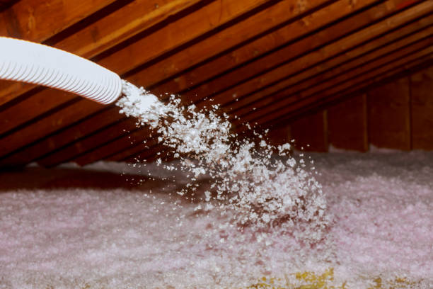 Insulation for Commercial Buildings in Macdonnell Heights, NY