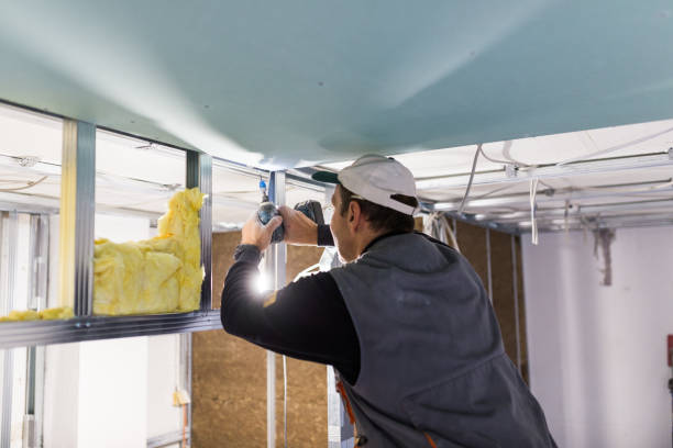 Best Cellulose Insulation  in Macdonnell Heights, NY