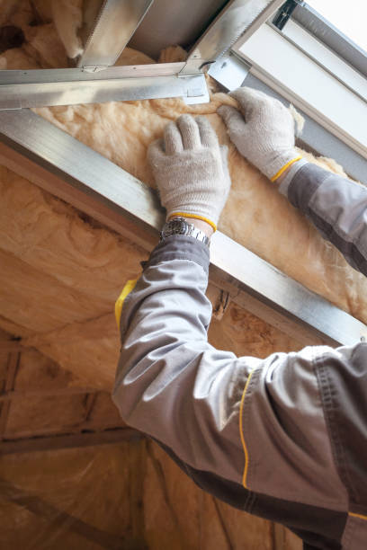 Best Crawl Space Insulation  in Macdonnell Heights, NY
