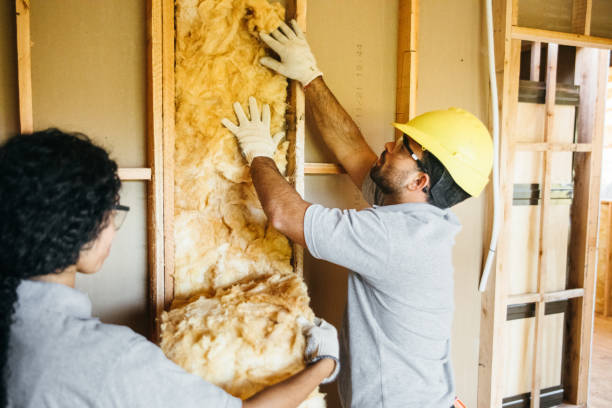Insulation Contractors for Homes in Macdonnell Heights, NY