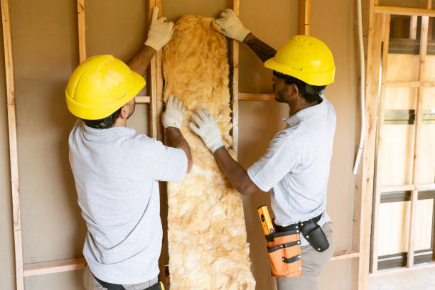 Best Home Insulation Services  in Macdonnell Heights, NY